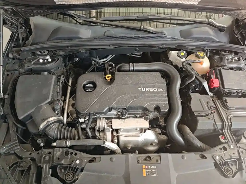 Buick Regal — миниатюра 20