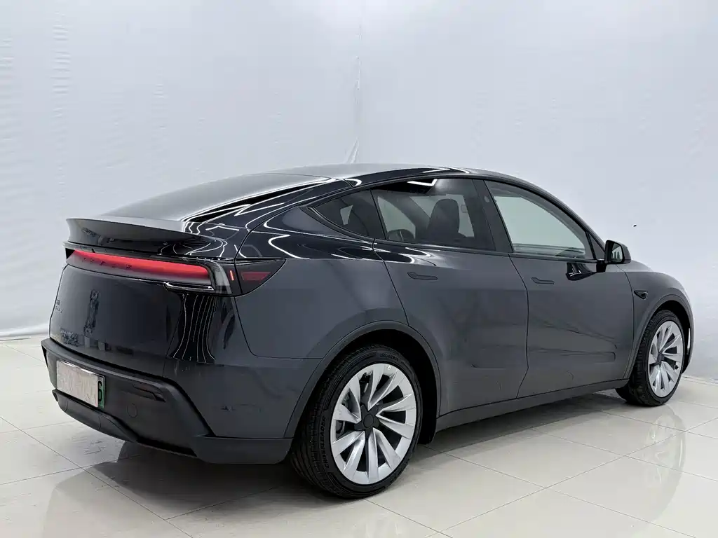 Tesla Model Y — миниатюра 12