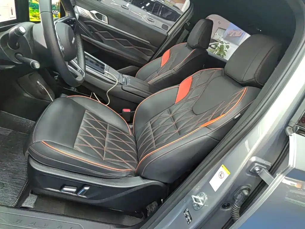Haval Shenshou — миниатюра 15