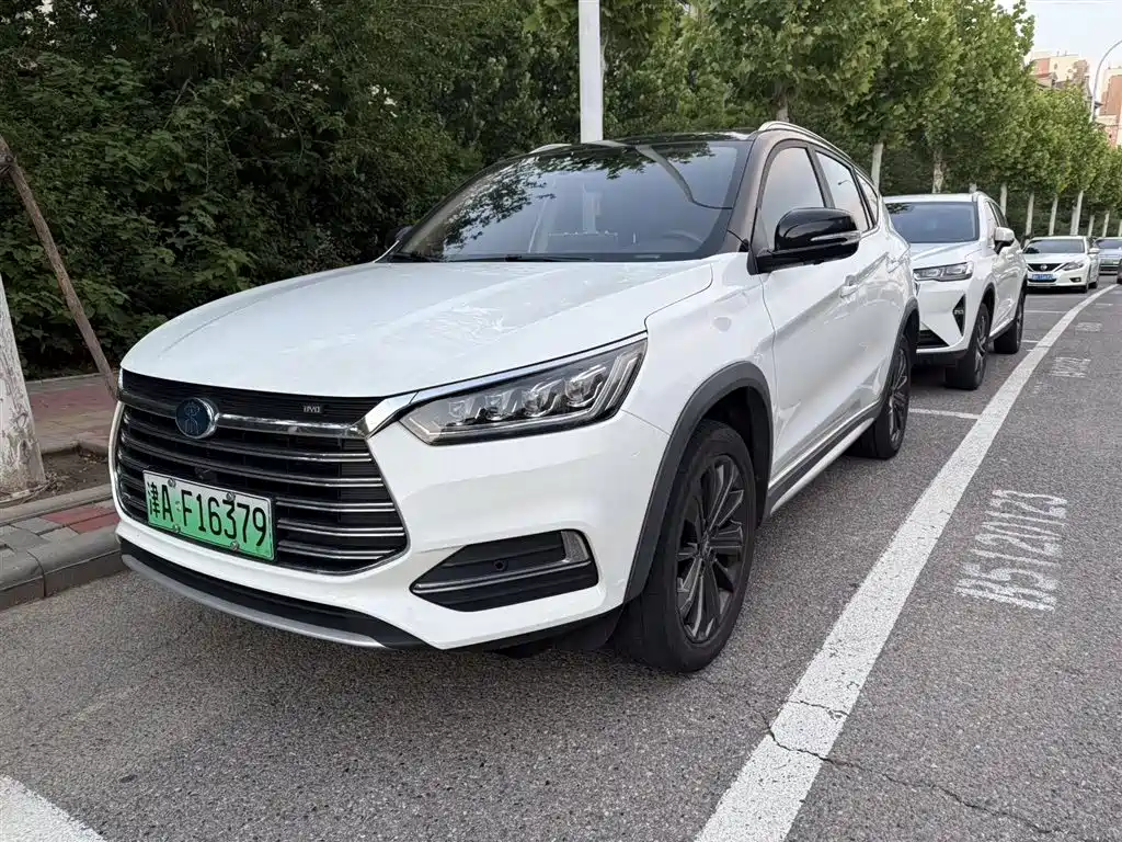 Byd New Energy 2019