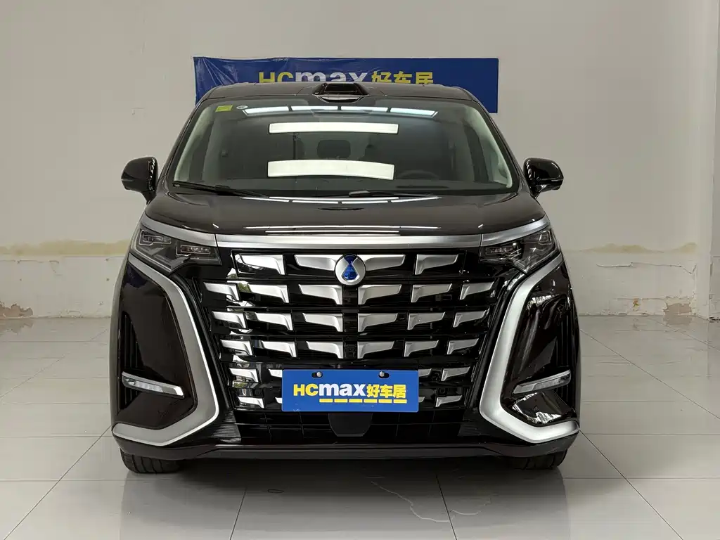 Denza Denza D9 — миниатюра 2