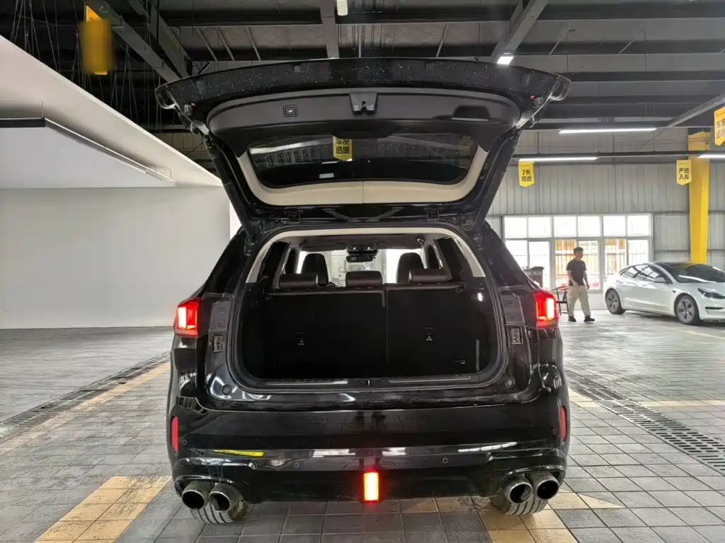 Wey Wey VV6 — миниатюра 19