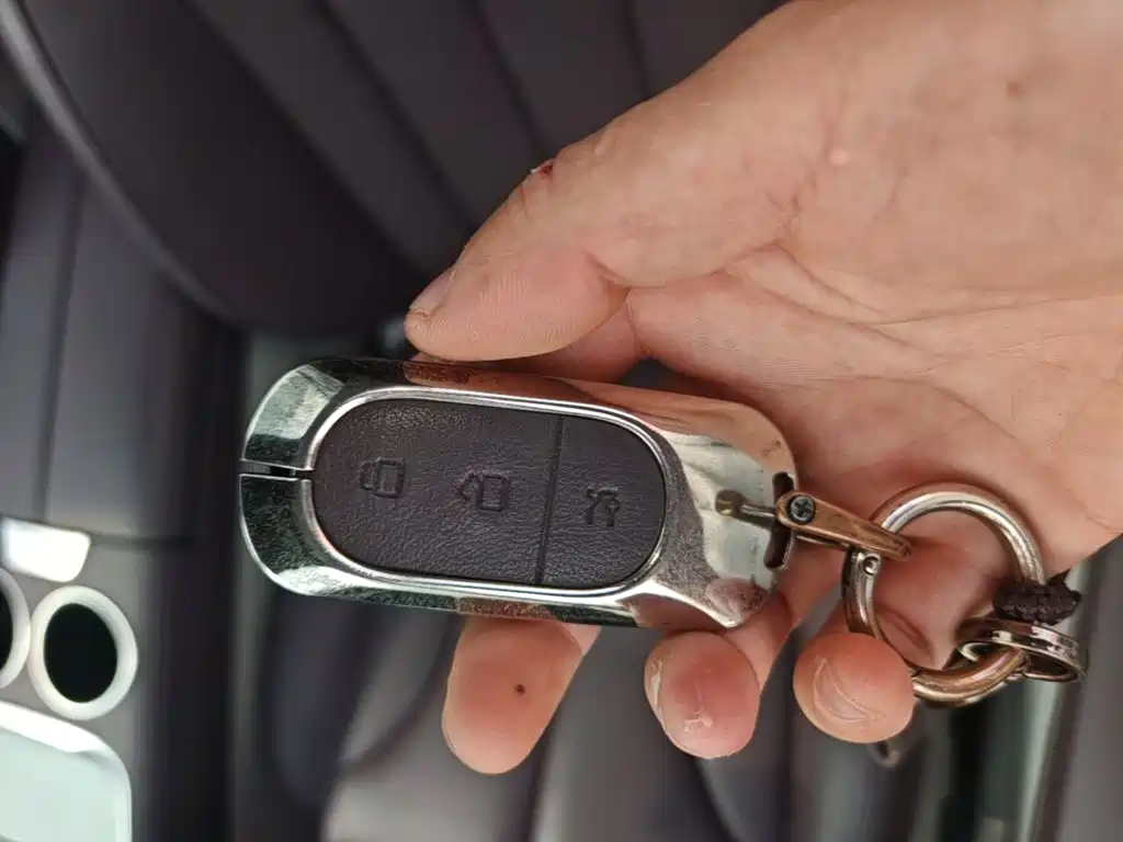 Leapmotor Leapmotor C11 — миниатюра 9
