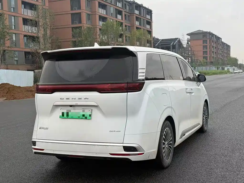Denza Denza D9 — миниатюра 7