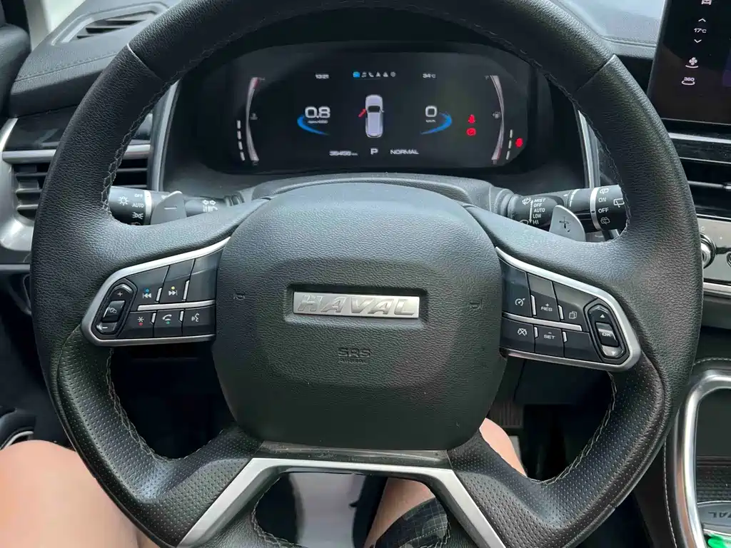 Haval H6 — миниатюра 9