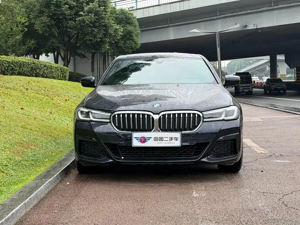 BMW 5 Series New Energy — миниатюра 2