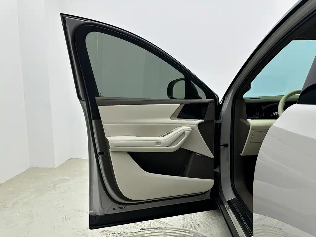 Denza Denza N8L — миниатюра 11