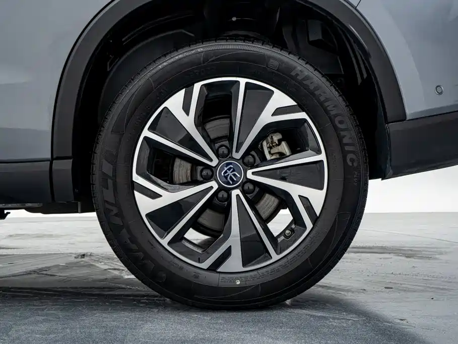 BYD Pro New Energy — миниатюра 23