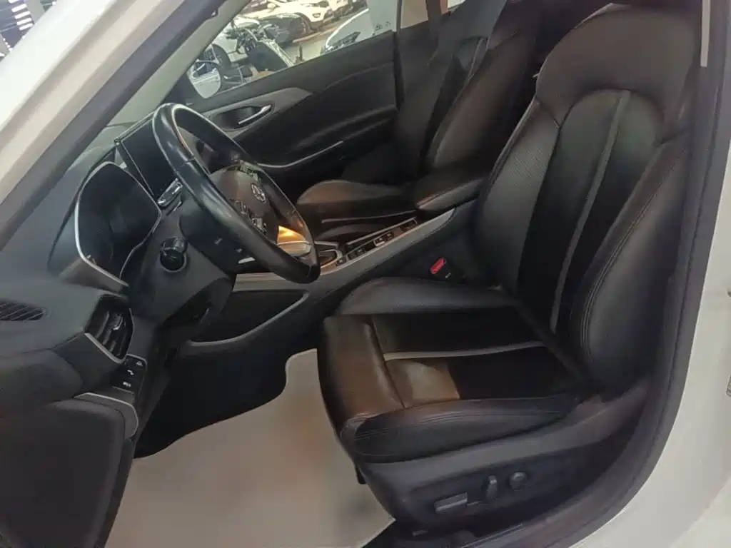 Hyundai Fista — миниатюра 15