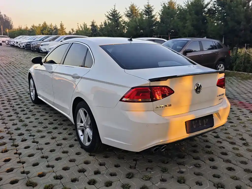 Volkswagen Lamando — миниатюра 7
