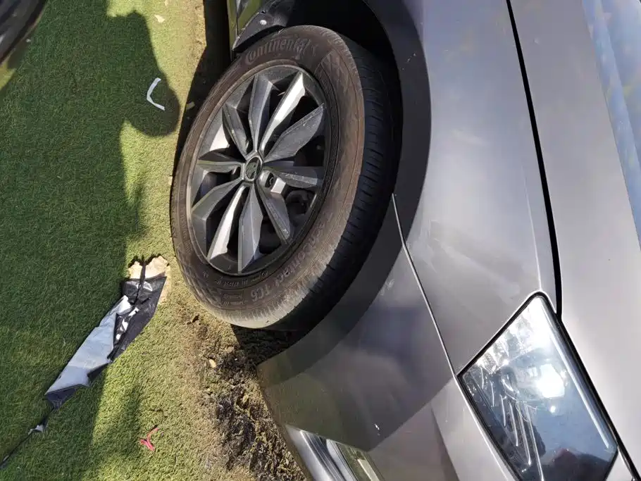 Skoda Octavia — миниатюра 6