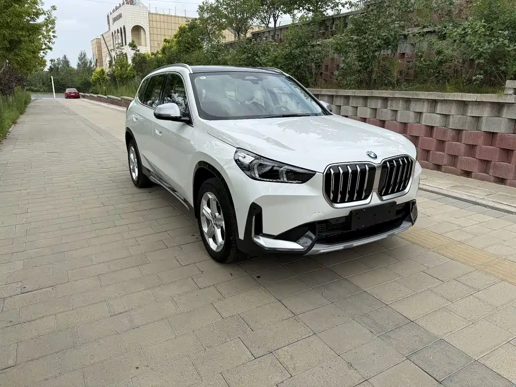 BMW X1 — миниатюра 3