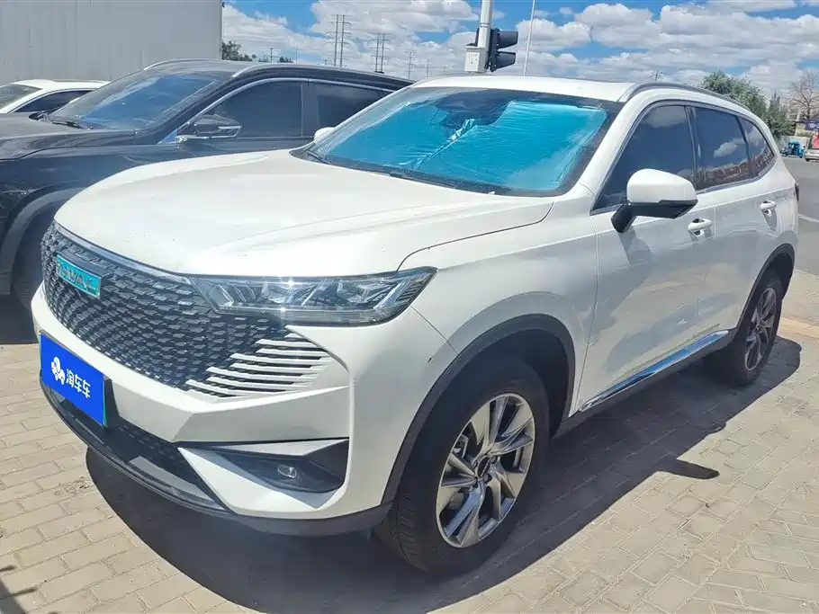 Haval H6 New Energy 2024