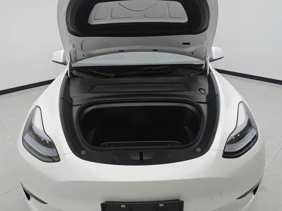 Tesla Model Y — миниатюра 10