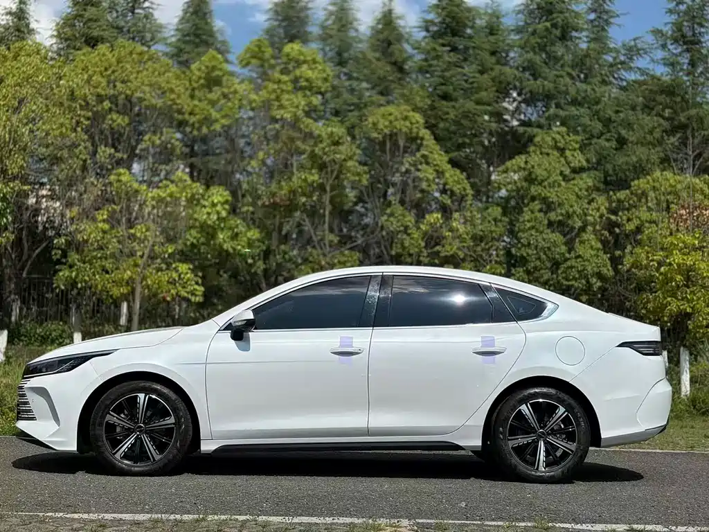 BYD Destroyer 05 2023 Champion DM-i 55KM Luxury