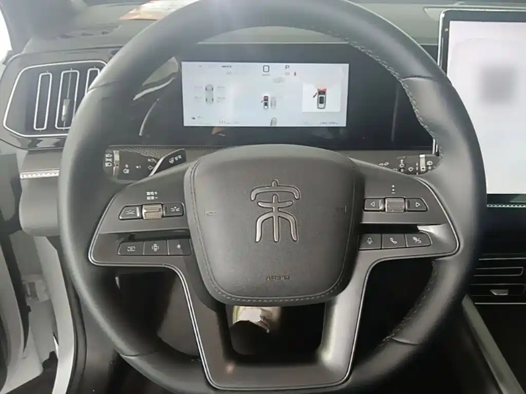 BYD Pro New Energy — миниатюра 11