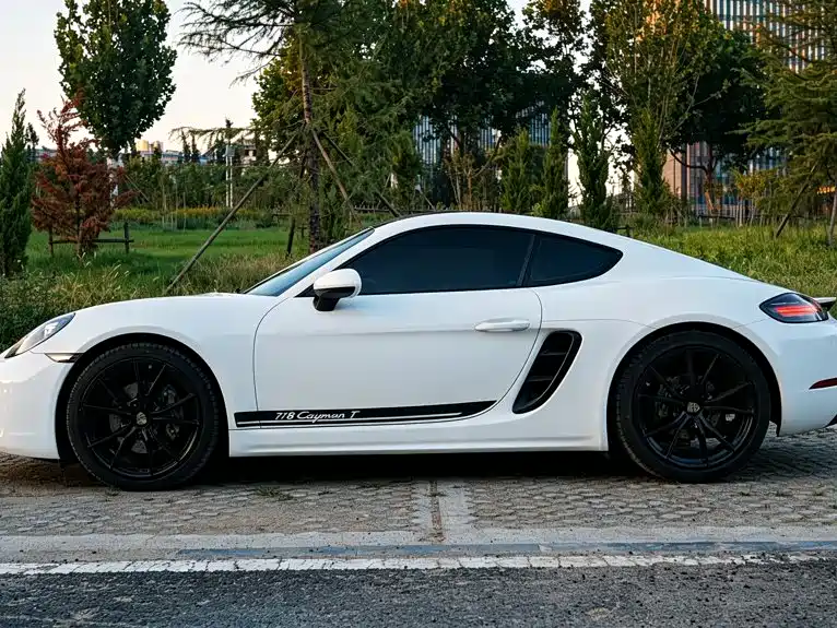 Porsche 718 — миниатюра 10