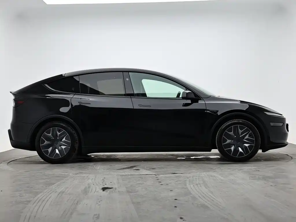 Tesla Model Y L — миниатюра 5