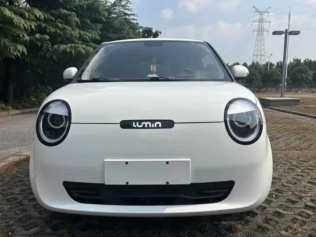 Qiyuan Lumin — миниатюра 2