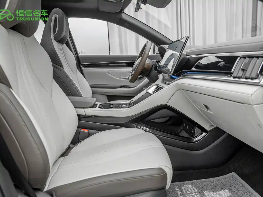 BYD PLUS New Energy — миниатюра 14