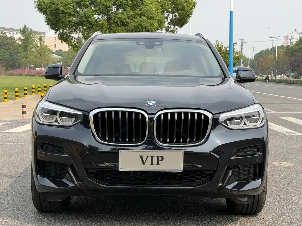 BMW X3 — миниатюра 2