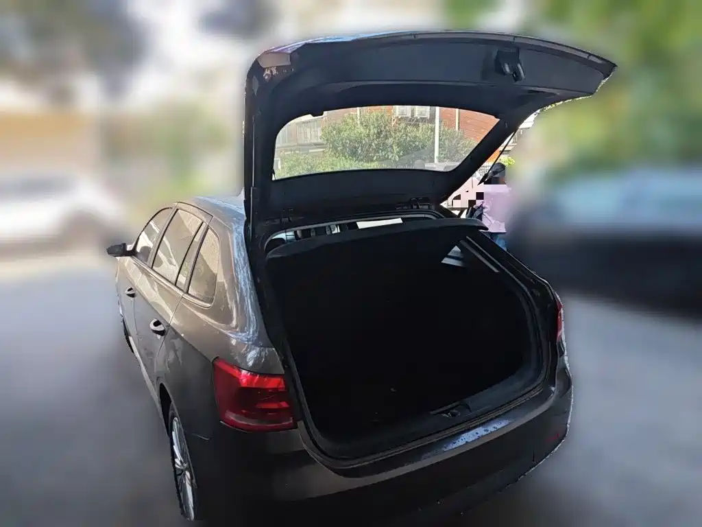 Volkswagen Gran Lavida — миниатюра 15