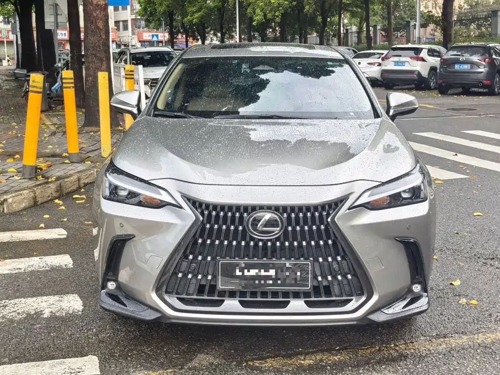 Lexus NX — миниатюра 2