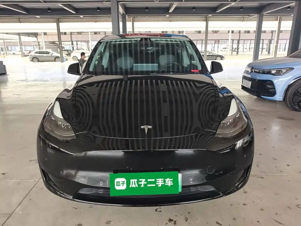 Tesla Model Y — миниатюра 3