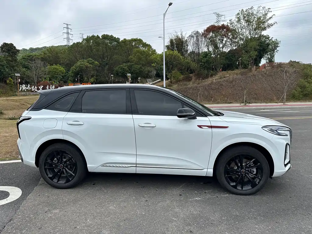 Hongqi HS3 PHEV 2025 117km
