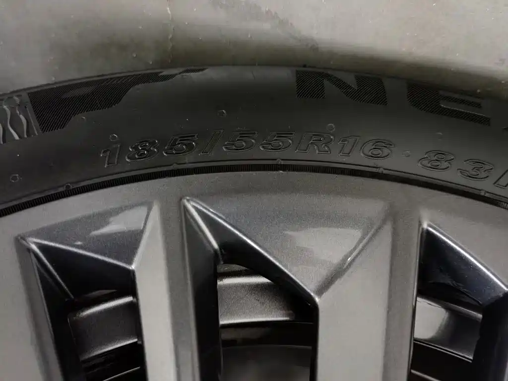 Neta Neta V — миниатюра 24
