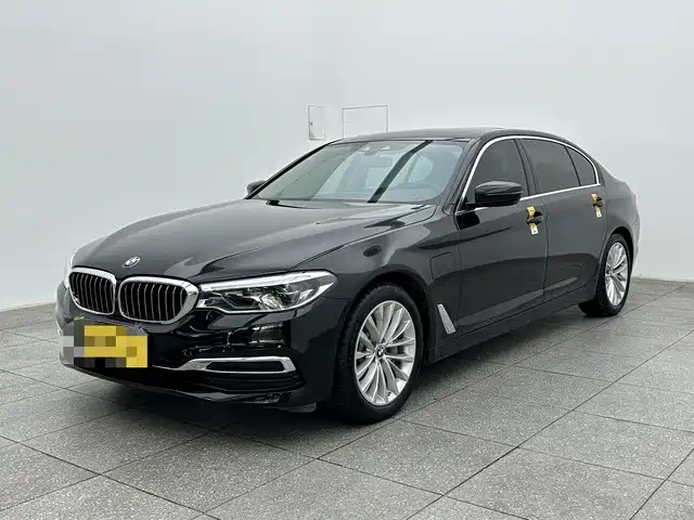 BMW 5 Series New Energy 2020