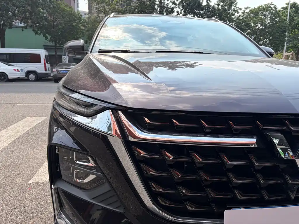 Wuling Victory — миниатюра 20