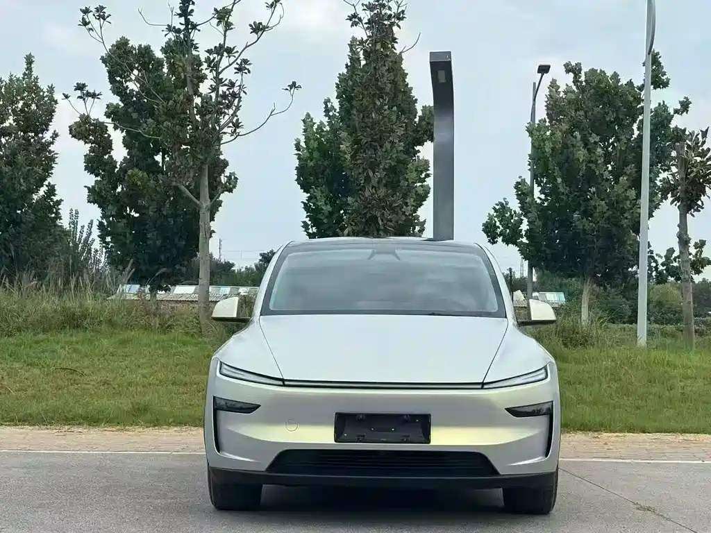 Tesla Model Y — миниатюра 2