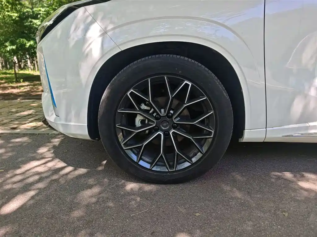 Oshan Oushang Z6 New Energy — миниатюра 23