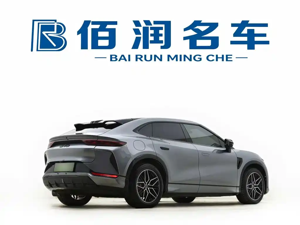 BYD L EV — миниатюра 4
