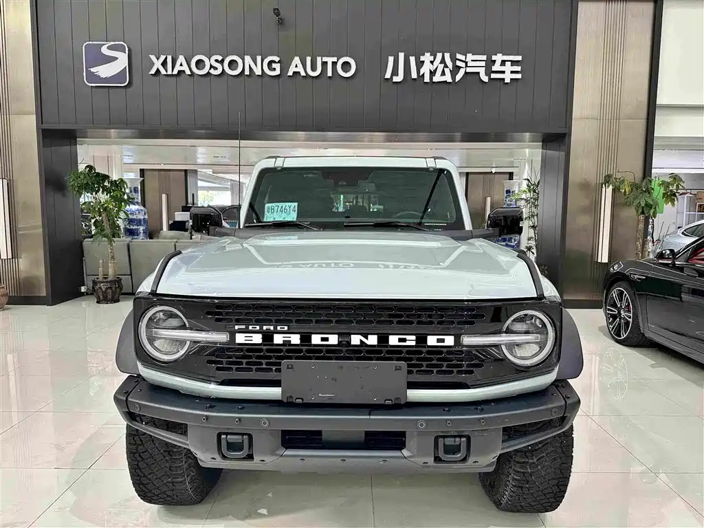 Ford Bronco — миниатюра 2