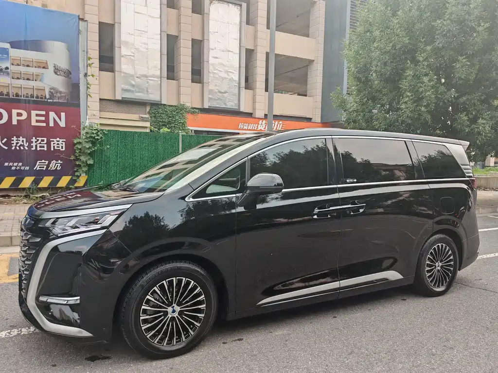 Denza D9