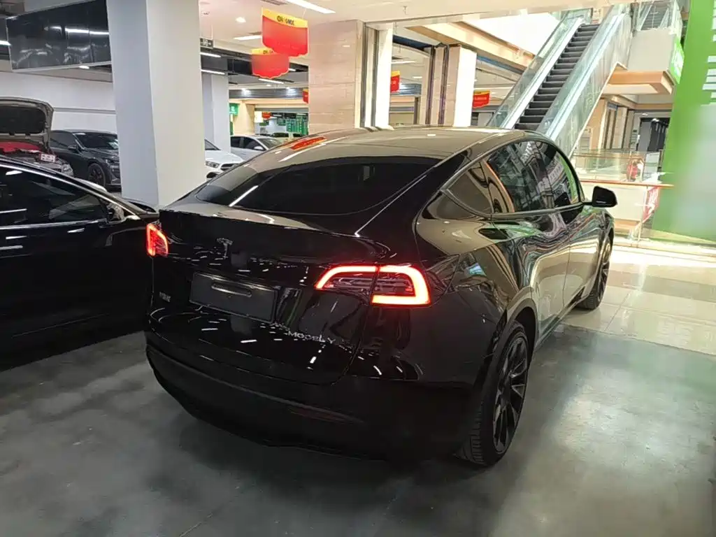 Tesla Model Y — миниатюра 7