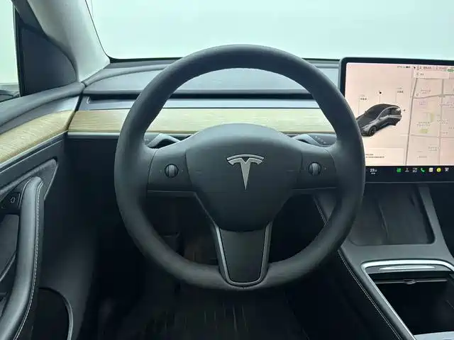 Tesla Model Y — миниатюра 17