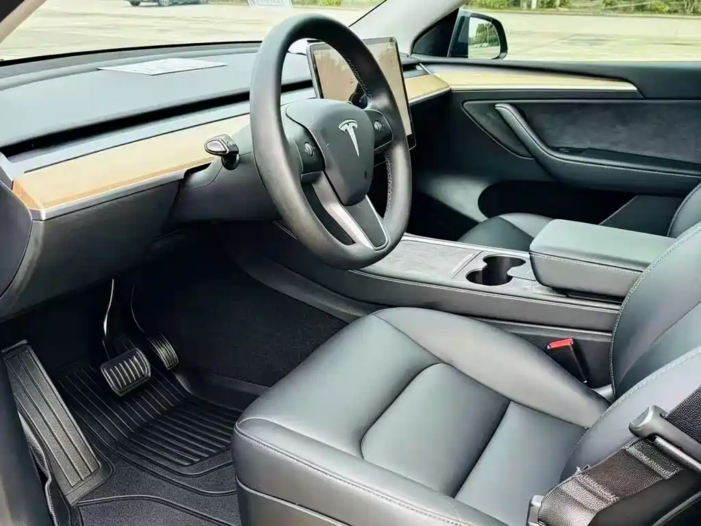 Tesla Model Y — миниатюра 8