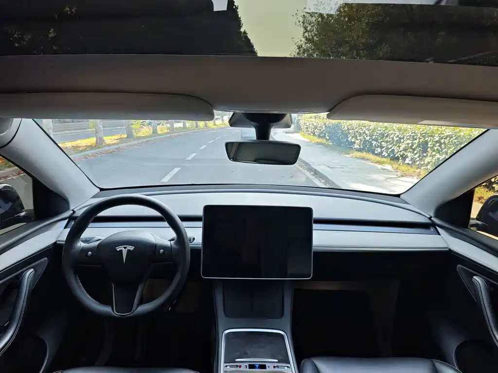 Tesla Model Y — миниатюра 6
