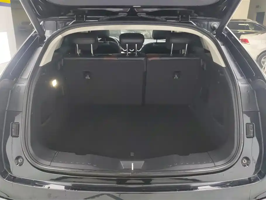 Wey VV5 2021 1.5T
