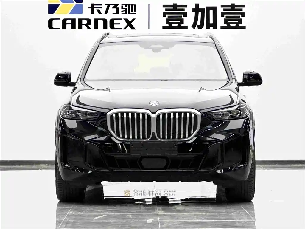 BMW X5 — миниатюра 2