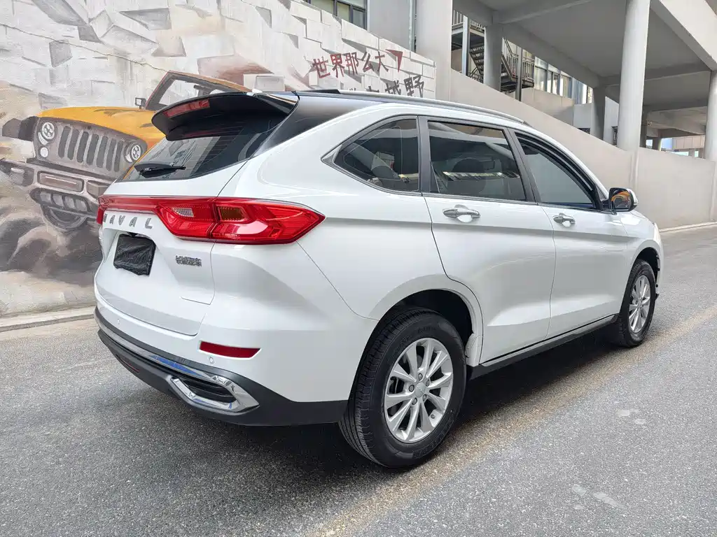 HAVAL M6
