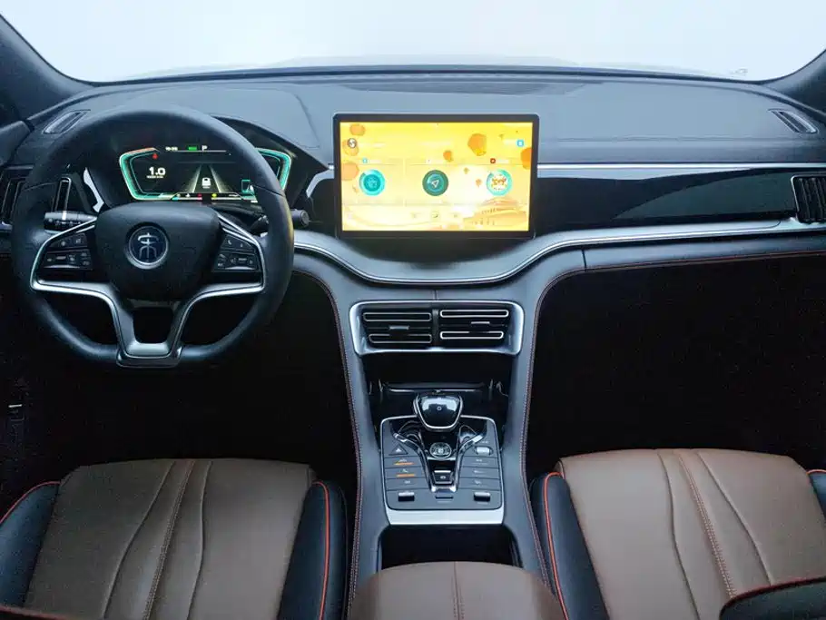 BYD PLUS — миниатюра 12