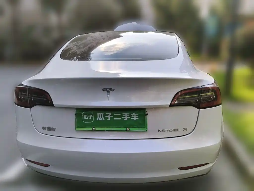Tesla Model 3 — миниатюра 3