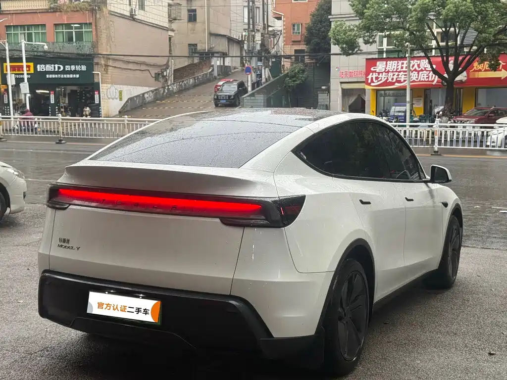 Tesla Model Y — миниатюра 5