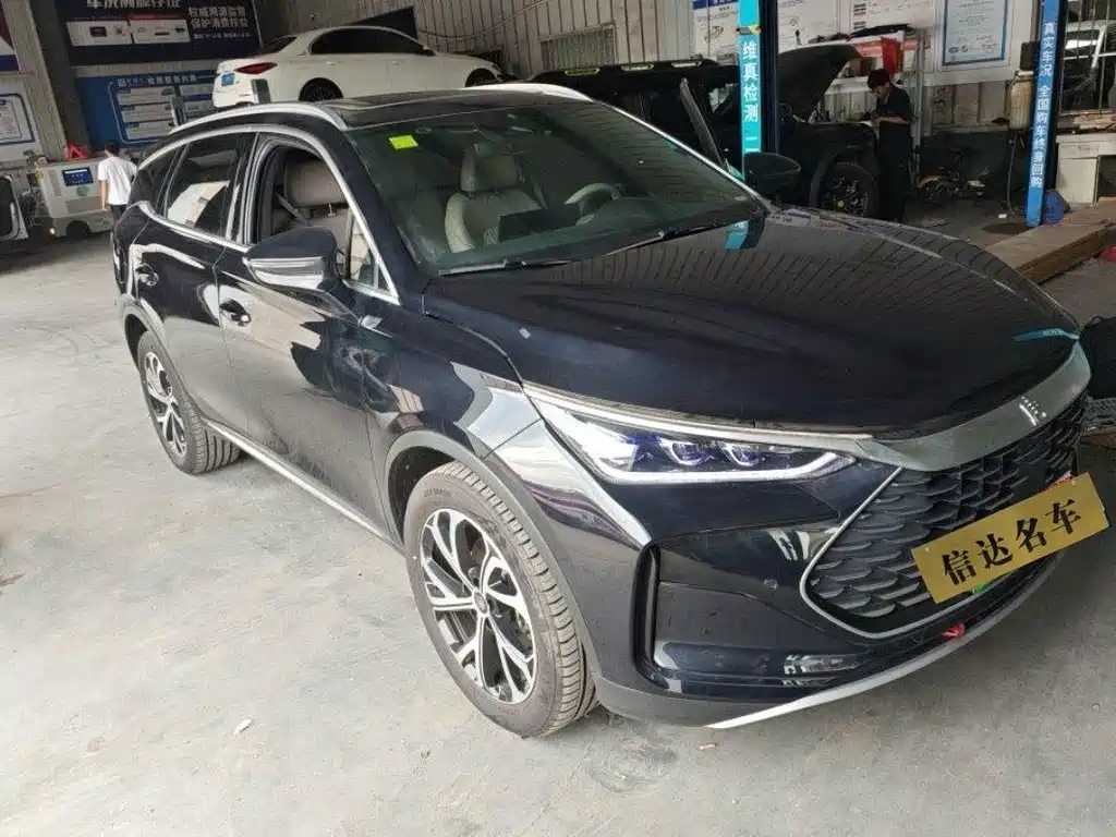 BYD Tang New Energy — миниатюра 2