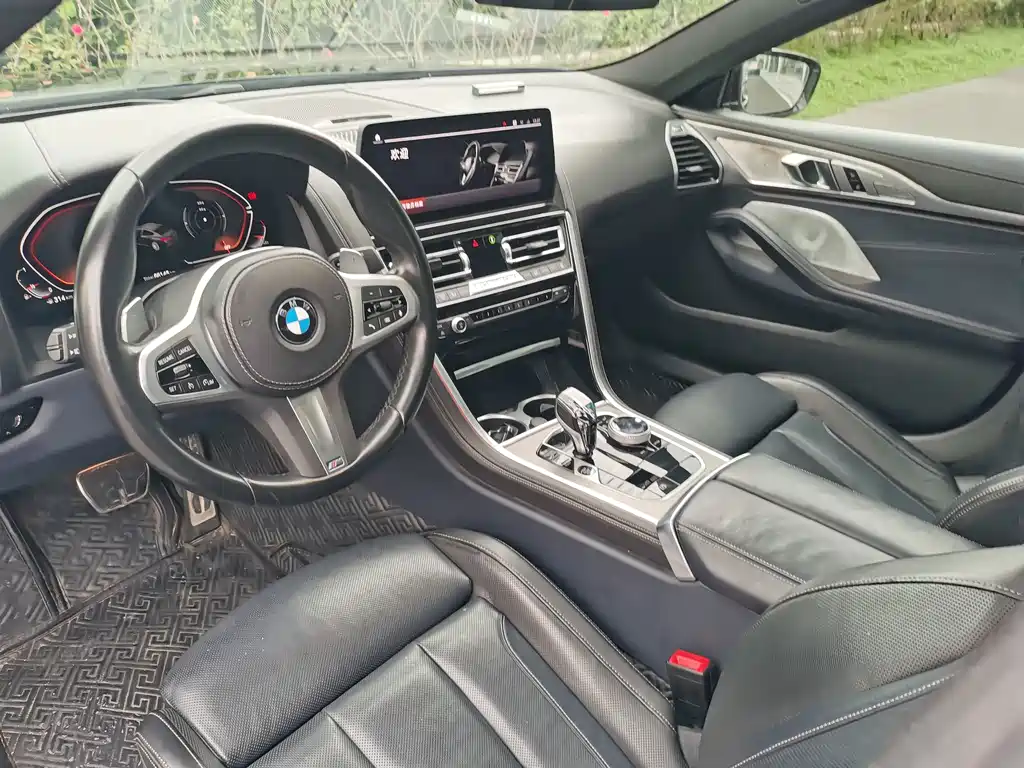 BMW 8 Series — миниатюра 11