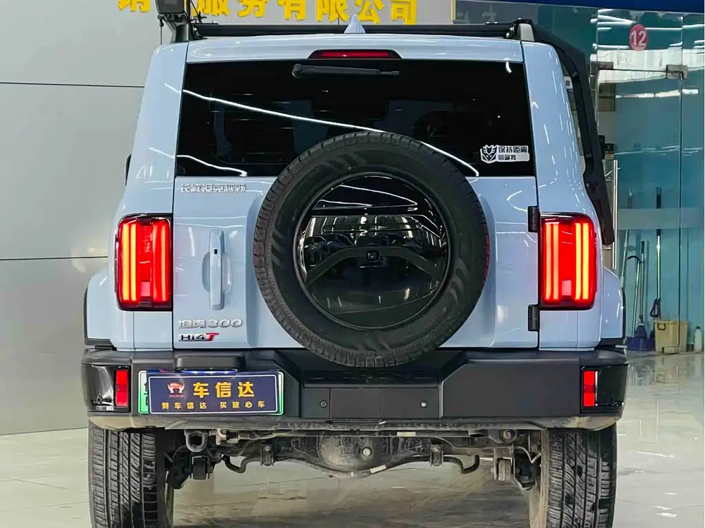 TANK TANK 300 NEW ENERGY